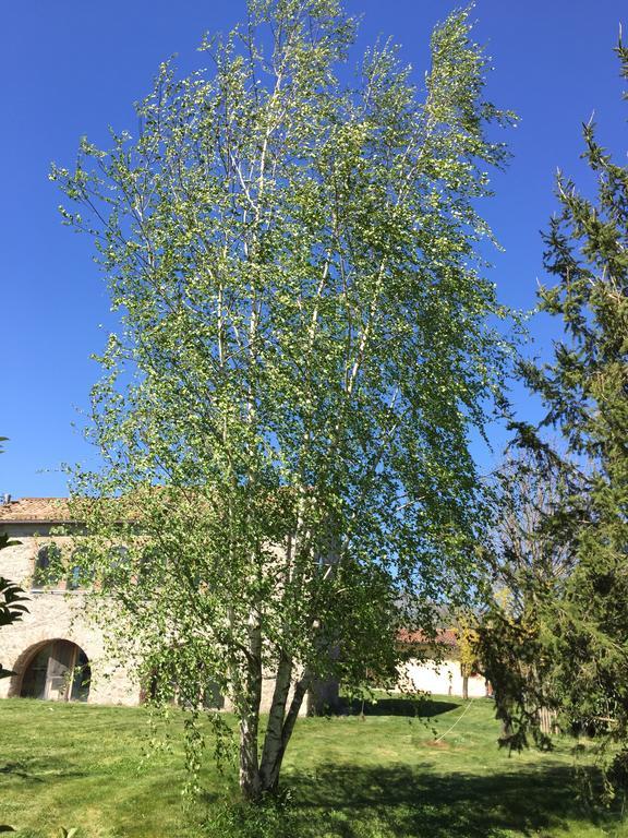 Agriturismo Le Due Arcate Villa San Massimo  Exterior photo